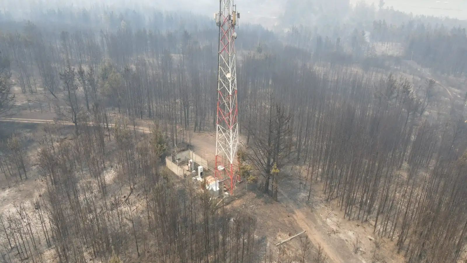 Incendios en el sur: Movistar despliega carros móviles satelitales y activa medidas de conectividad en Biobío y Ñuble